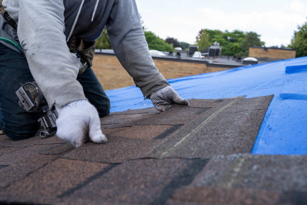 4 Ply Roofing in Eaton Rapids, MI